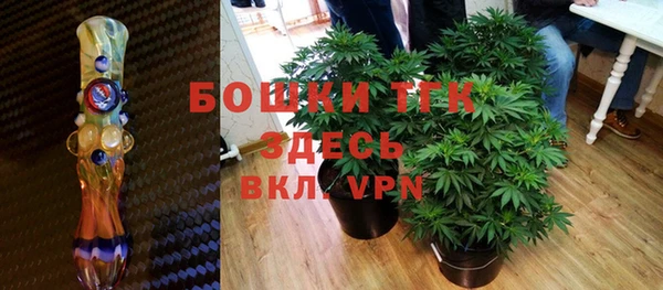 амф Богородицк